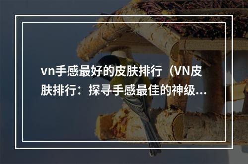 vn手感最好的皮肤排行（VN皮肤排行：探寻手感最佳的神级皮肤！）