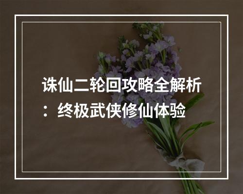 诛仙二轮回攻略全解析：终极武侠修仙体验