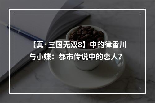 【真·三国无双8】中的律香川与小蝶：都市传说中的恋人？