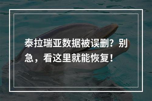 泰拉瑞亚数据被误删？别急，看这里就能恢复！