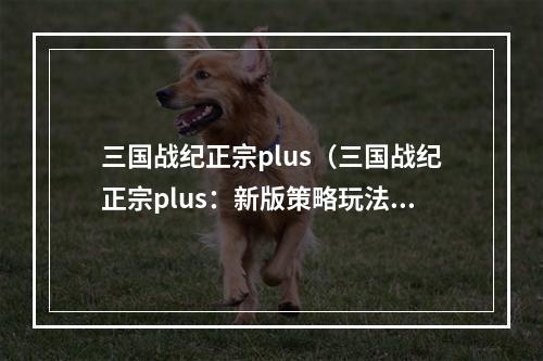 三国战纪正宗plus（三国战纪正宗plus：新版策略玩法让你玩到停不下来！）