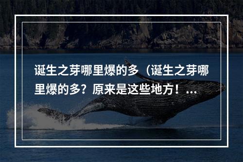 诞生之芽哪里爆的多（诞生之芽哪里爆的多？原来是这些地方！）