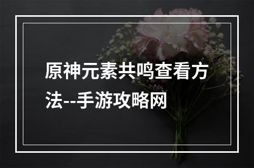 原神元素共鸣查看方法--手游攻略网