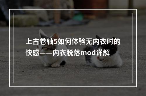 上古卷轴5如何体验无内衣时的快感——内衣脱落mod详解