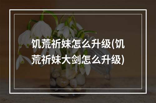 饥荒祈妹怎么升级(饥荒祈妹大剑怎么升级)