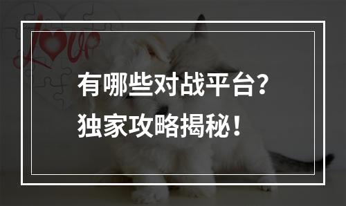 有哪些对战平台？独家攻略揭秘！