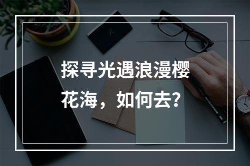 探寻光遇浪漫樱花海，如何去？