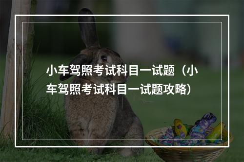 小车驾照考试科目一试题（小车驾照考试科目一试题攻略）