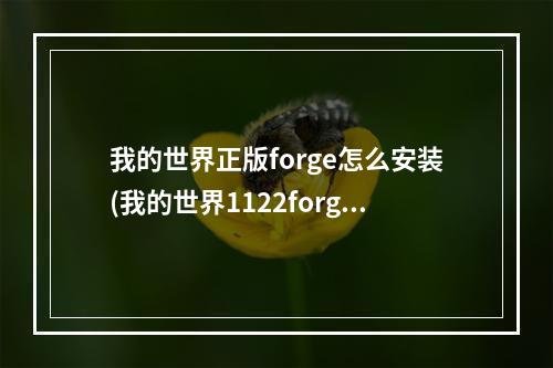 我的世界正版forge怎么安装(我的世界1122forge怎么安装)