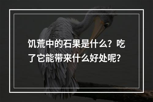 饥荒中的石果是什么？吃了它能带来什么好处呢？