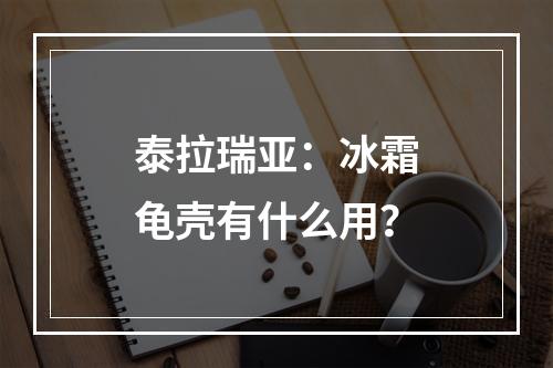 泰拉瑞亚：冰霜龟壳有什么用？