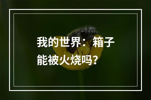 我的世界：箱子能被火烧吗？