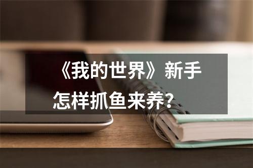 《我的世界》新手怎样抓鱼来养？