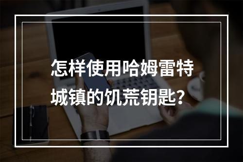 怎样使用哈姆雷特城镇的饥荒钥匙？