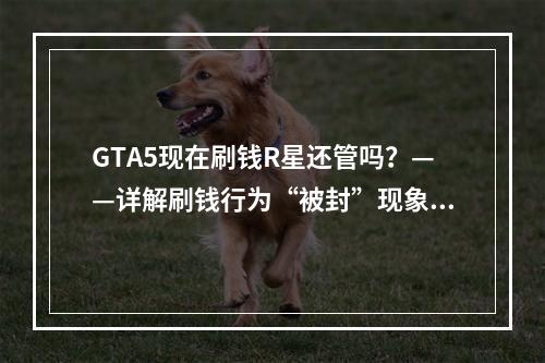 GTA5现在刷钱R星还管吗？——详解刷钱行为“被封”现象与相关规定