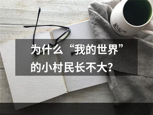 为什么“我的世界”的小村民长不大？