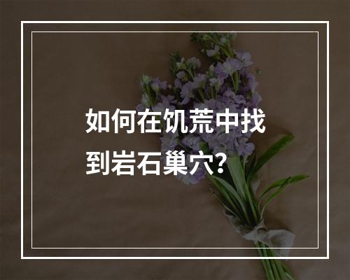 如何在饥荒中找到岩石巢穴？