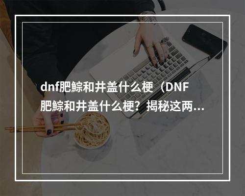 dnf肥鯮和井盖什么梗（DNF肥鯮和井盖什么梗？揭秘这两个神奇名词！）