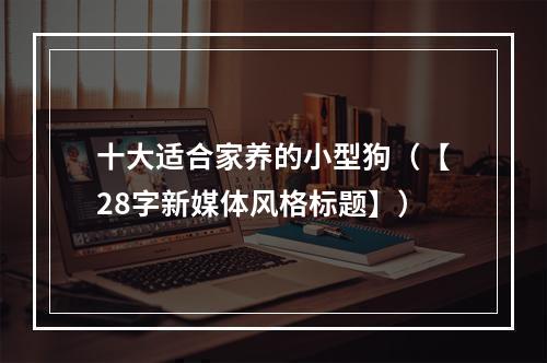 十大适合家养的小型狗（【28字新媒体风格标题】）