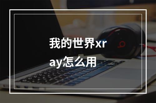 我的世界xray怎么用