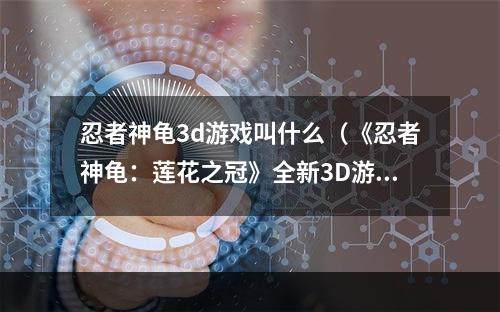 忍者神龟3d游戏叫什么（《忍者神龟：莲花之冠》全新3D游戏评测）