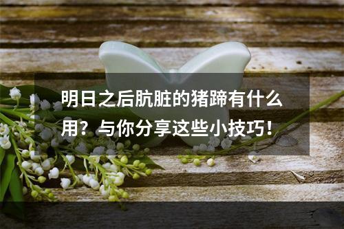 明日之后肮脏的猪蹄有什么用？与你分享这些小技巧！