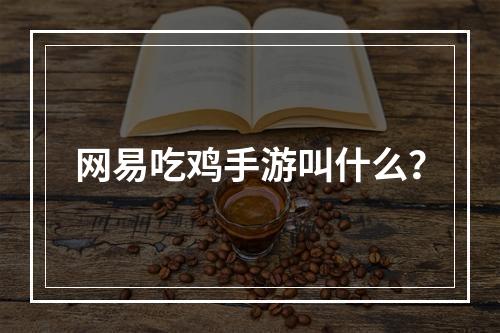 网易吃鸡手游叫什么？