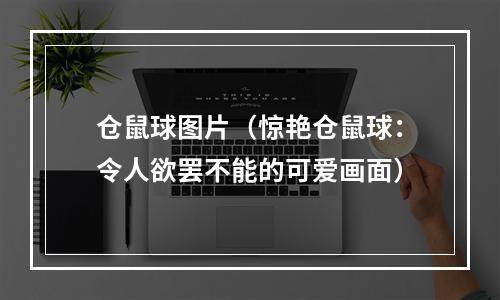 仓鼠球图片（惊艳仓鼠球：令人欲罢不能的可爱画面）