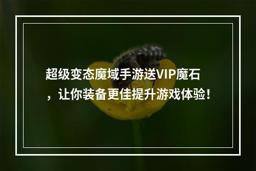 超级变态魔域手游送VIP魔石，让你装备更佳提升游戏体验！