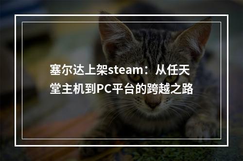 塞尔达上架steam：从任天堂主机到PC平台的跨越之路