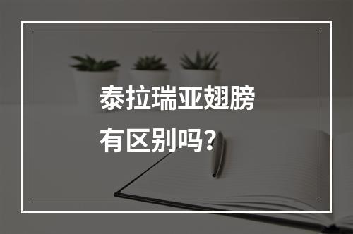 泰拉瑞亚翅膀有区别吗？