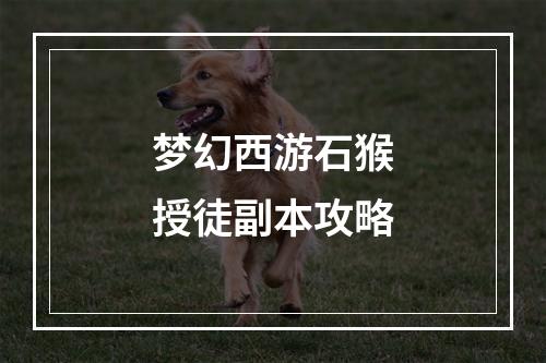 梦幻西游石猴授徒副本攻略