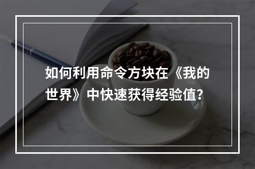 如何利用命令方块在《我的世界》中快速获得经验值？