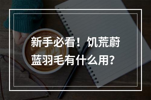 新手必看！饥荒蔚蓝羽毛有什么用？