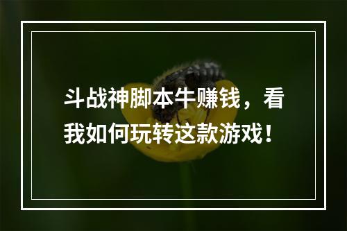 斗战神脚本牛赚钱，看我如何玩转这款游戏！