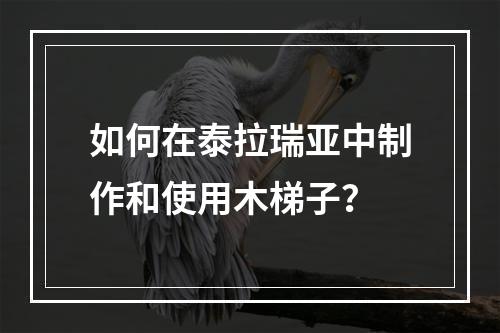 如何在泰拉瑞亚中制作和使用木梯子？