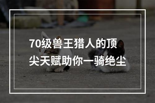 70级兽王猎人的顶尖天赋助你一骑绝尘