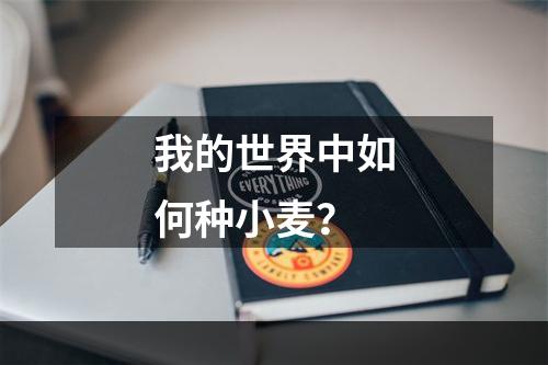 我的世界中如何种小麦？