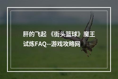 肝的飞起 《街头篮球》魔王试炼FAQ--游戏攻略网