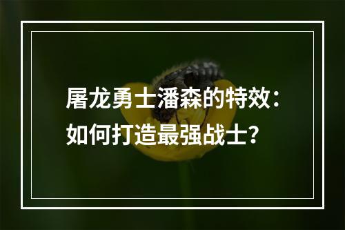 屠龙勇士潘森的特效：如何打造最强战士？