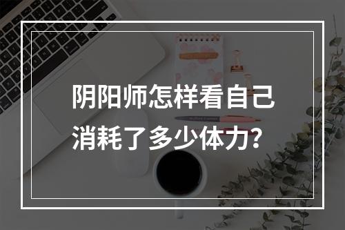 阴阳师怎样看自己消耗了多少体力？