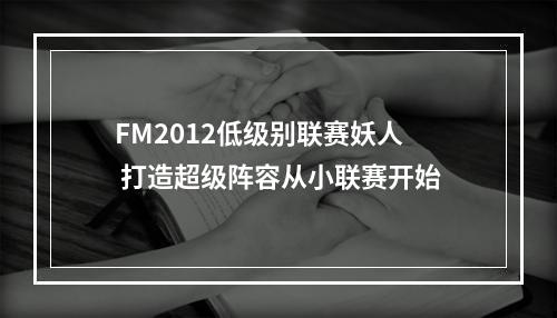 FM2012低级别联赛妖人 打造超级阵容从小联赛开始