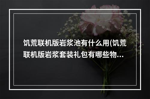 饥荒联机版岩浆池有什么用(饥荒联机版岩浆套装礼包有哪些物品)