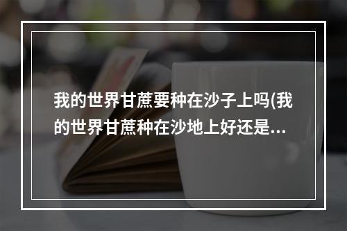 我的世界甘蔗要种在沙子上吗(我的世界甘蔗种在沙地上好还是泥土上好)