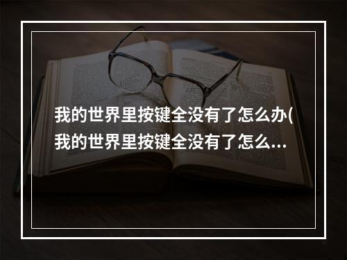 我的世界里按键全没有了怎么办(我的世界里按键全没有了怎么办啊)