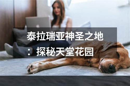 泰拉瑞亚神圣之地：探秘天堂花园