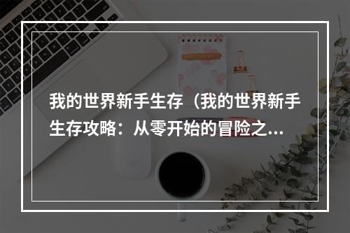 我的世界新手生存（我的世界新手生存攻略：从零开始的冒险之旅）