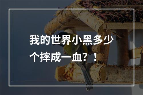 我的世界小黑多少个摔成一血？！