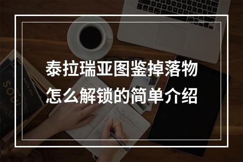 泰拉瑞亚图鉴掉落物怎么解锁的简单介绍