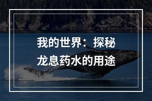 我的世界：探秘龙息药水的用途